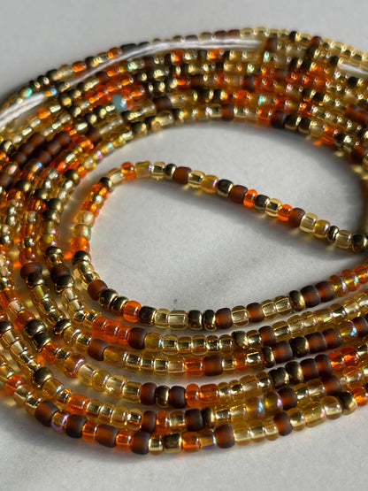 Safari Waist Bead image 0